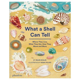 What a shell can tell