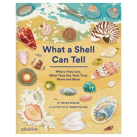 What a shell can tell